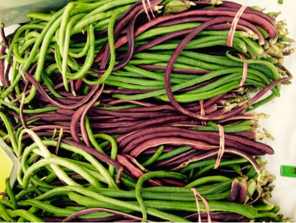 Screen Shot 2017-07-22 at 10.54.26 AM.png